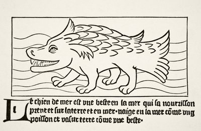 The Sea-Dog, from 